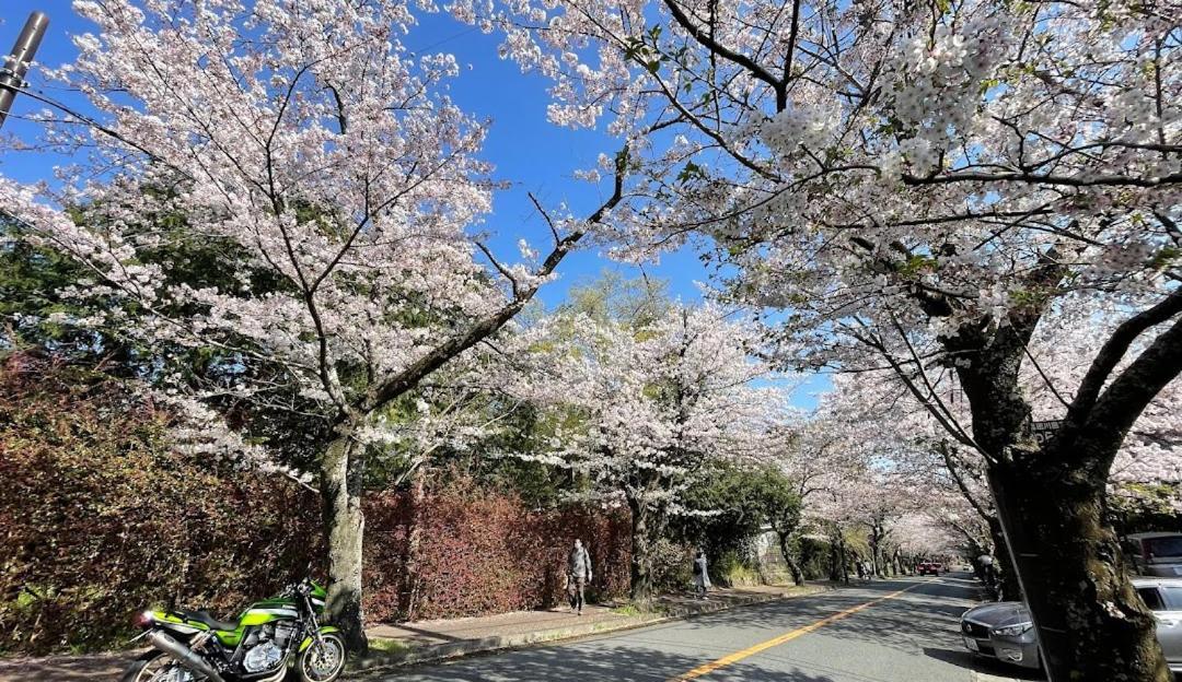 Futo 伊豆高原 温泉付別荘 Isana Mountain Villa מראה חיצוני תמונה